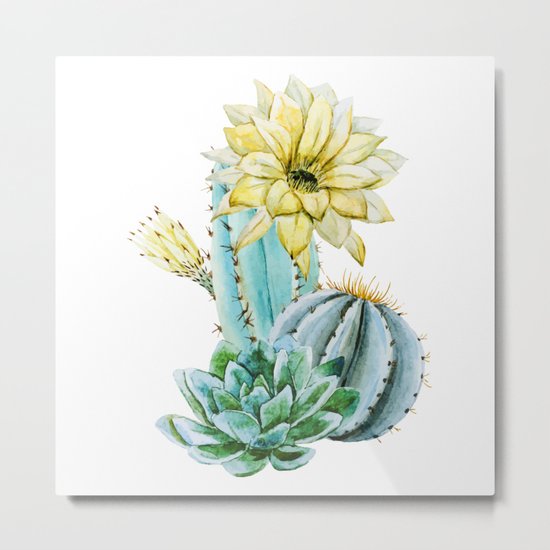 Cactus 02 Metal Print