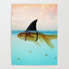 goldfish with a shark fin Poster