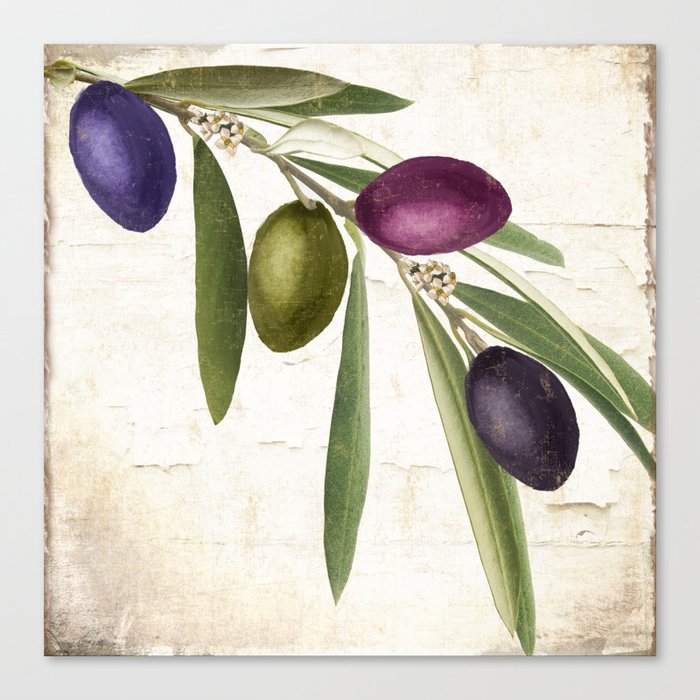 Olive Branch IV Canvas Print