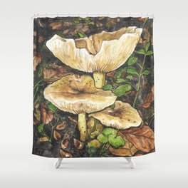 Milk Cap Fungi In The Forest Shower Curtain