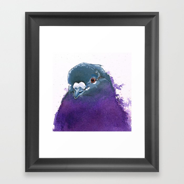 Purple Pigeon Framed Art Print