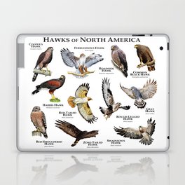 Hawks of North America Laptop & iPad Skin