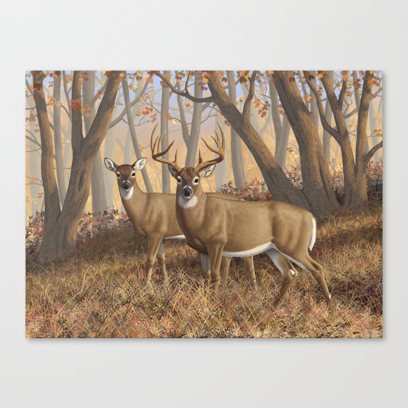 deer trophy