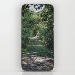 A walk in the woods iPhone Skin