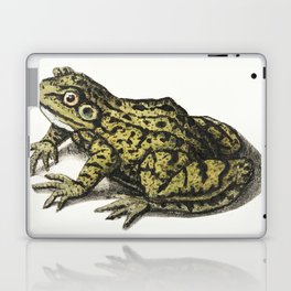 Frog Laptop Skin