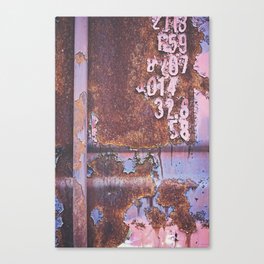 Rusted Color Canvas Print