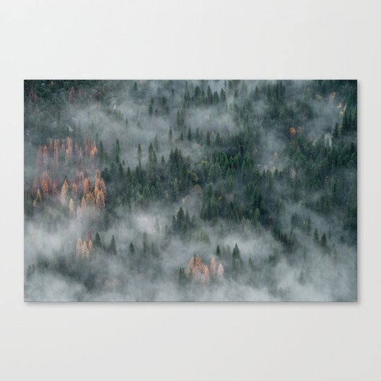 Woods landscape Canvas Print
