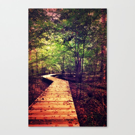 Don't Stop Walking Canvas Print