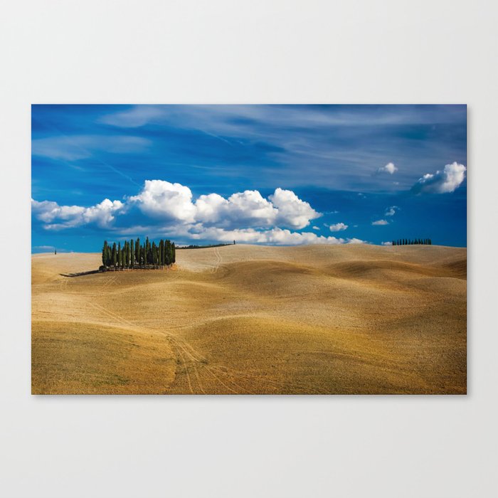 Hills of Tuscany, Italy with clouds and strand of stone pines color landscape photograph / photography for home and wall decor Canvas Print