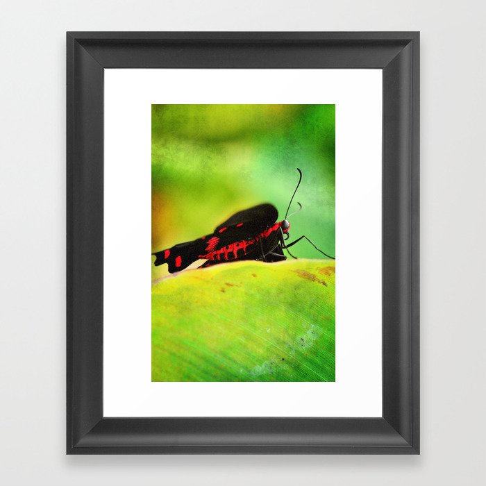 BFX | red 'n black (butterfly) Framed Art Print