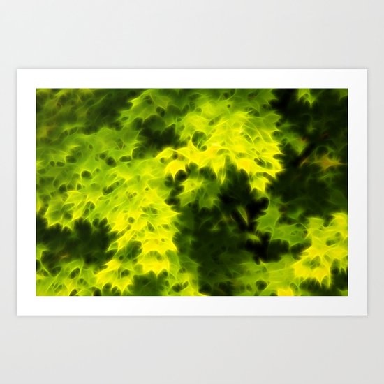 Maple Leaves Art Print