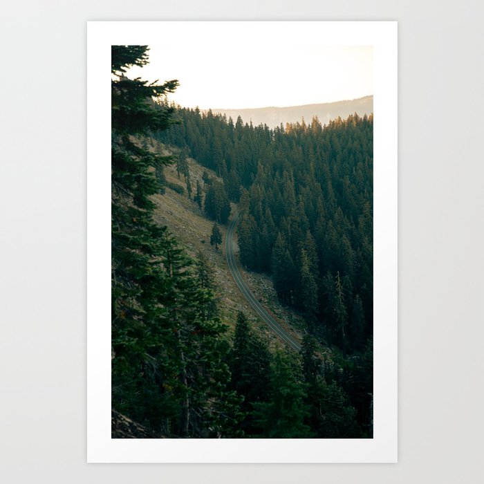 Forest Road from Above Art Print