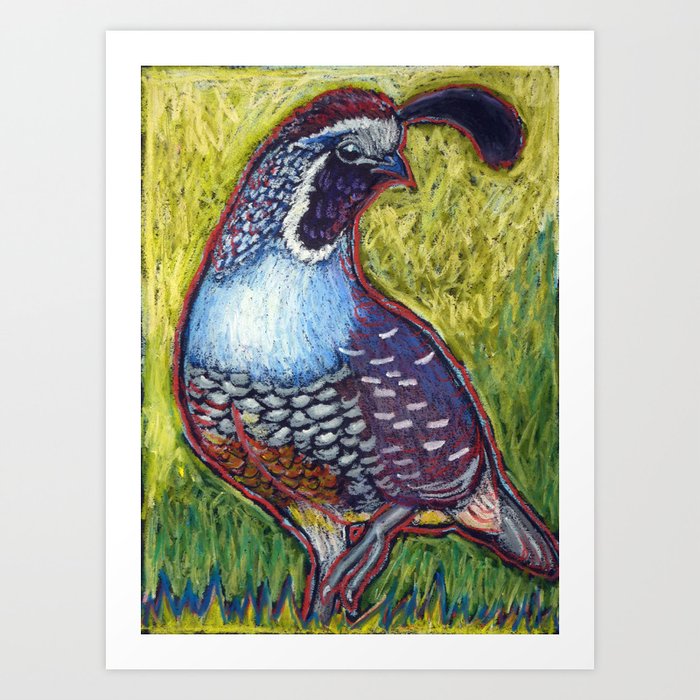 California Quail King Art Print By Andehallart Society6