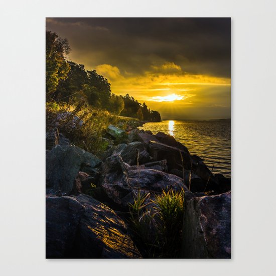 Morning Gold II Canvas Print