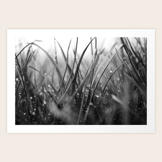 Secret Treasure Art Print