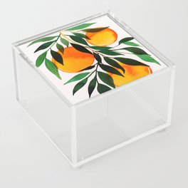 Orange Bunch Acrylic Box