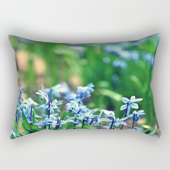 #70 Rectangular Pillow