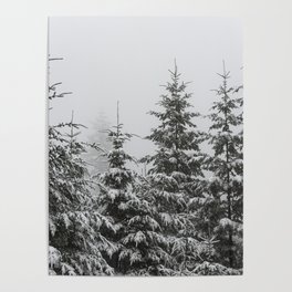 Winter Forest Fir Tree Snow II - Nature Photography Poster