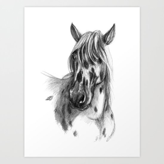 Leopard Spotted Horse portrait sk127 Art Print