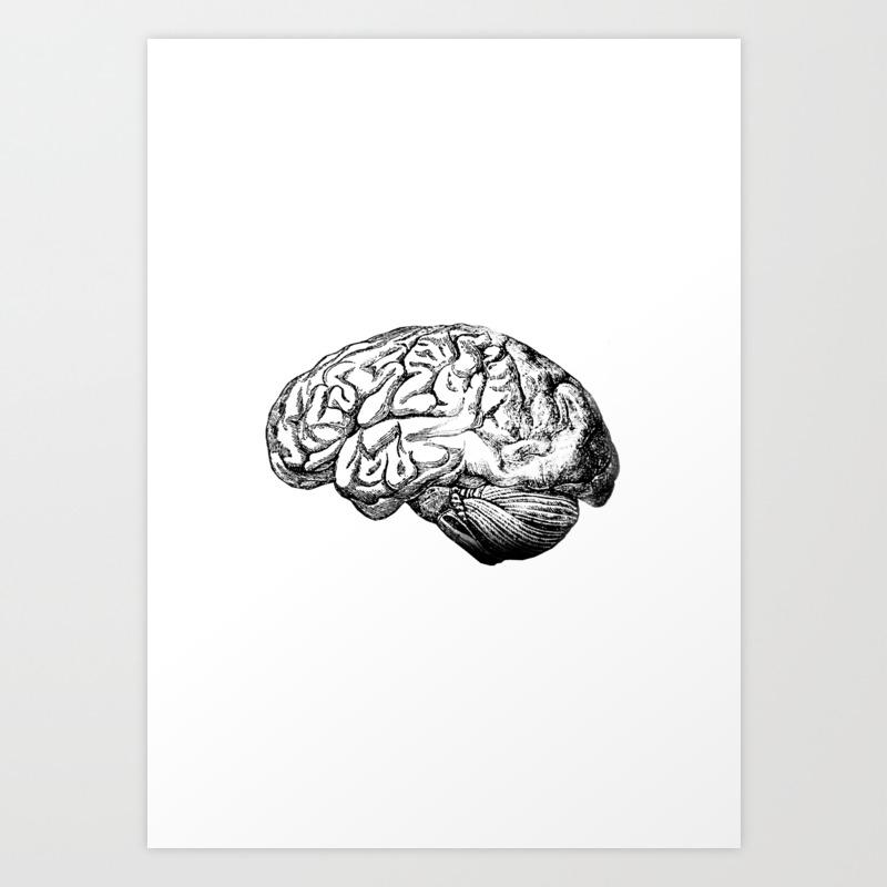 Brain Anatomy Art Print By Stilleskyggerart Society6,Pencil Sketch Cute Best Friend Drawings Boy And Girl Easy