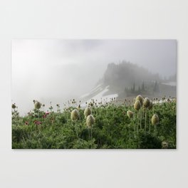 Wildflowers in Fog Canvas Print