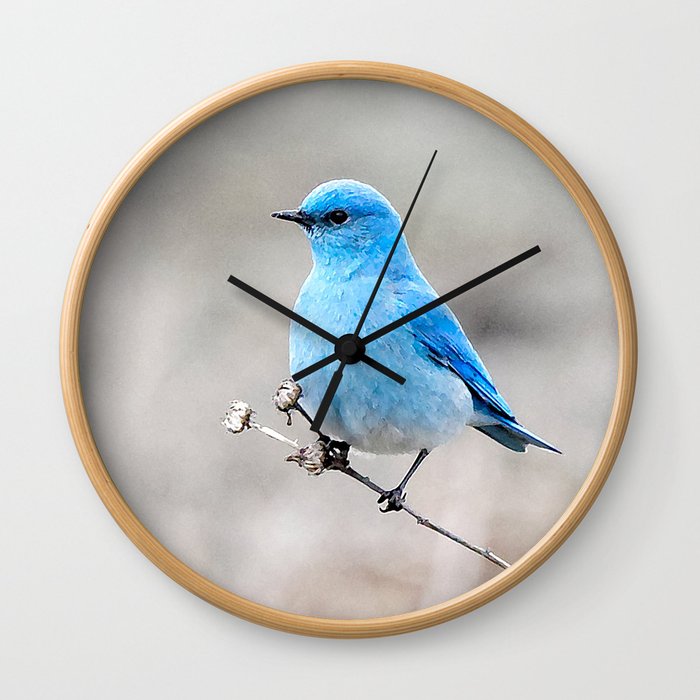 Mountain Bluebird on the Tansy Wall Clock