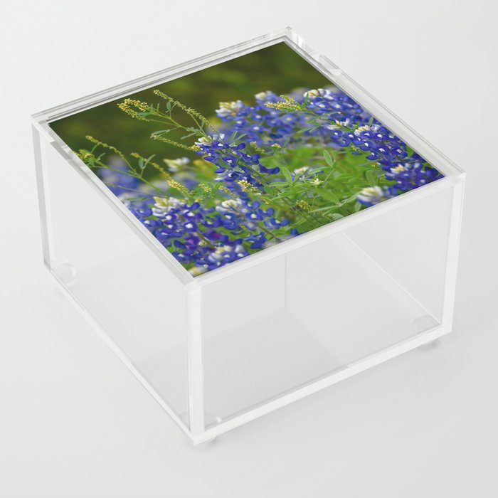 882 Bluebonnet Acrylic Box