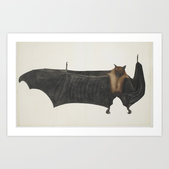 Art Print