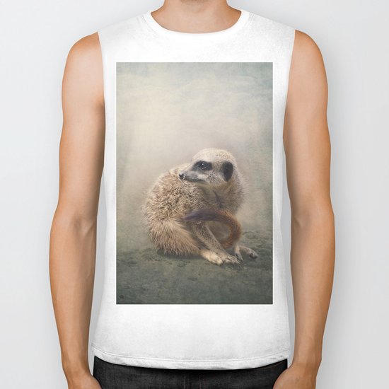 Study of a young Meerkat Biker Tank