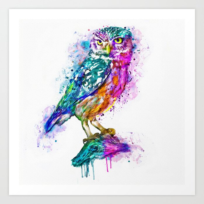 colorful owl art print