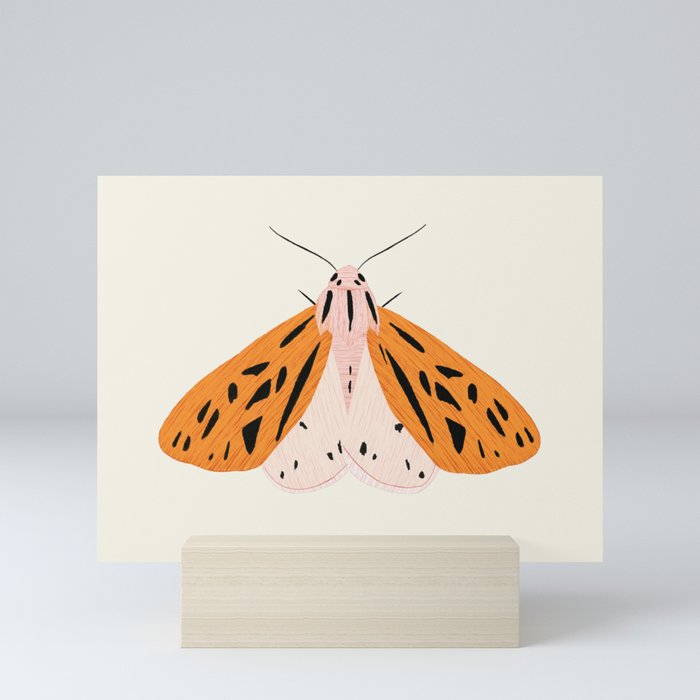 butterfly Mini Art Print