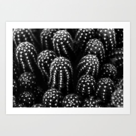 Cactus nature XIII Art Print