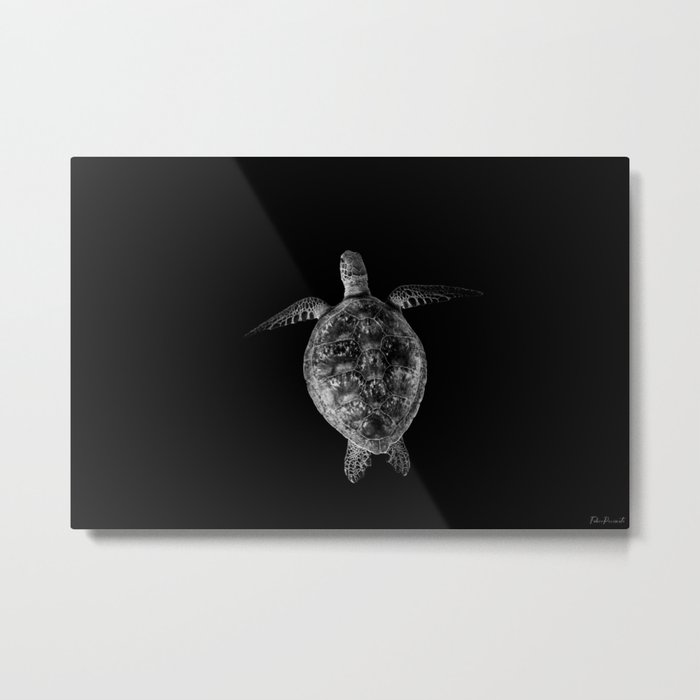 BW turtle Metal Print