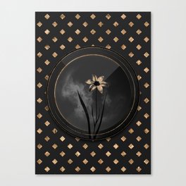 Shadowy Black Lady Tulip Botanical Art with Gold Art Deco Canvas Print