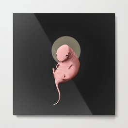 holy moly naked mole-rat Metal Print