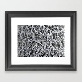 The Lovely Bones Framed Art Print