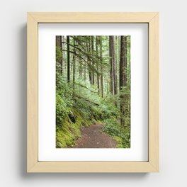 Washington Walkway Recessed Framed Print