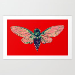 17 Year Cicada Art Print