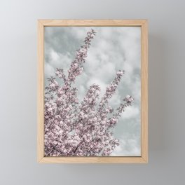 Cherry blossoms with sky view Framed Mini Art Print