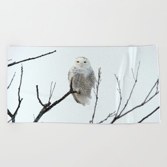 Snowy in the Wind (square) Beach Towel