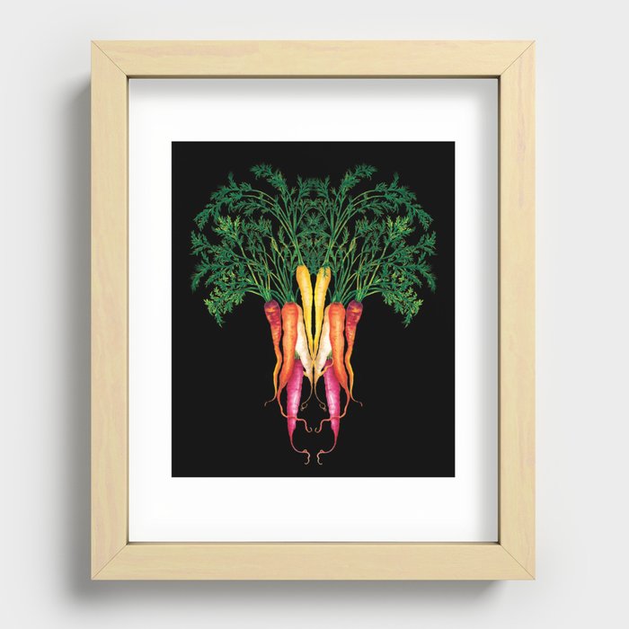 Food illustration - A beautiful bunch of carrots  Recessed Framed Print