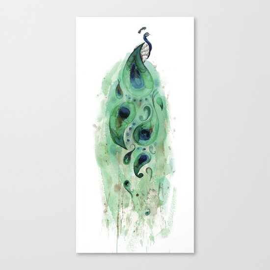 Peacock Canvas Print