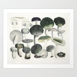 Vintage Mushrooms Art Print