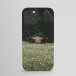Alpine symmetry iPhone Case