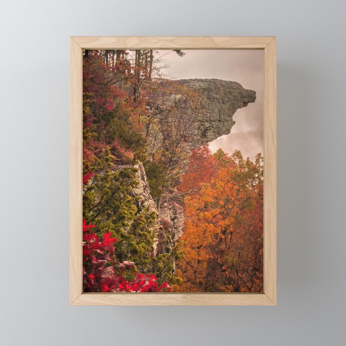 Autumn Hawksbill Crag - Whitaker Point Arkansas Landscape Framed Mini Art Print