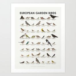 [Old Version] European Garden Birds Art Print