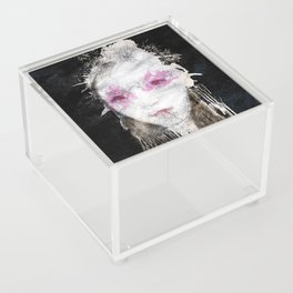 Dissolution of the Self II Acrylic Box
