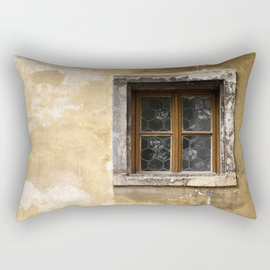 Shabby Rectangular Pillow