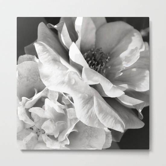 Essence Metal Print