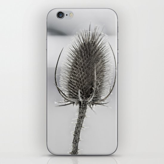 Dry flower iPhone & iPod Skin